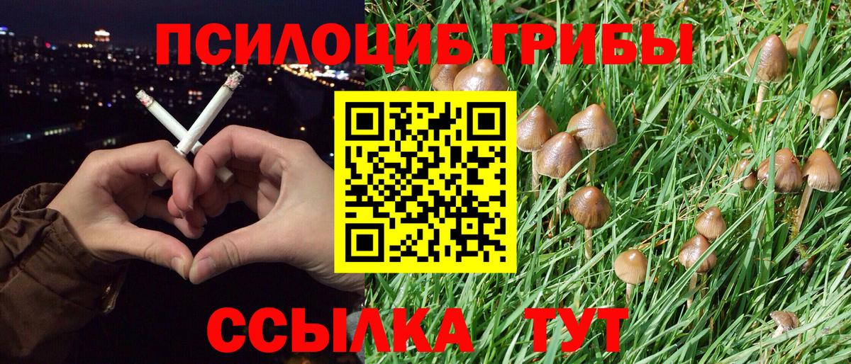 Соль-Илецк  Псилоцибиновые грибы ЛСД  Вход с VPN  Галлюциногенные грибы Magic Shrooms 